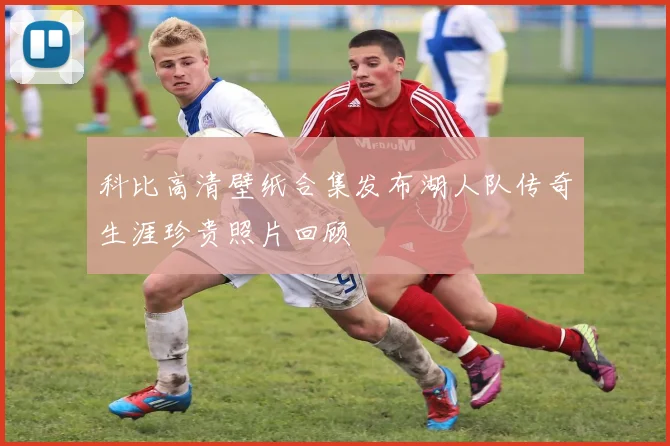 科比高清壁纸合集发布湖人队传奇生涯珍贵照片回顾