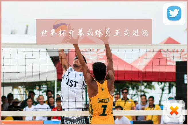 世界杯开幕式球员正式进场