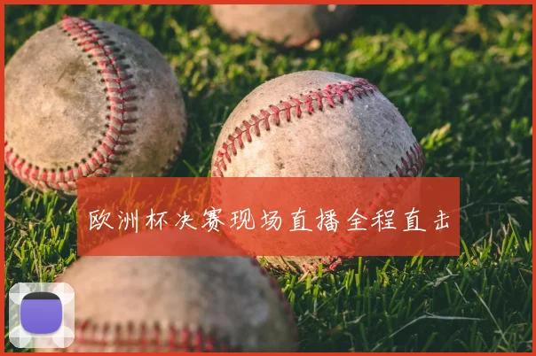 欧洲杯决赛现场直播全程直击