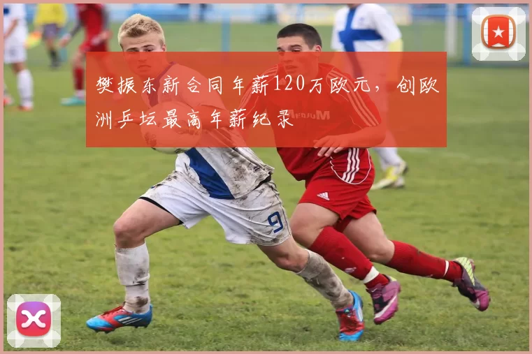 樊振东新合同年薪120万欧元，创欧洲乒坛最高年薪纪录