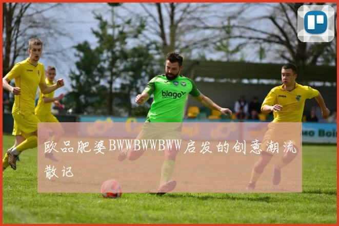 欧品肥婆BWWBWWBWW启发的创意潮流散记