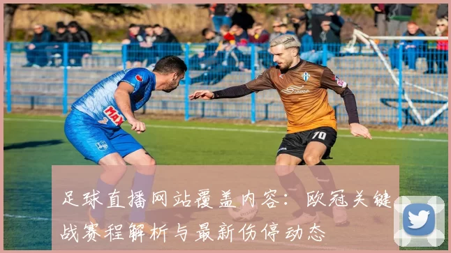 足球直播网站覆盖内容：欧冠关键战赛程解析与最新伤停动态