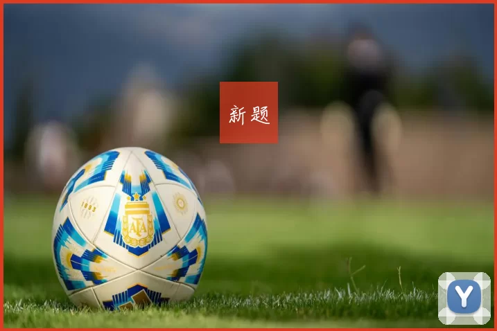 新题