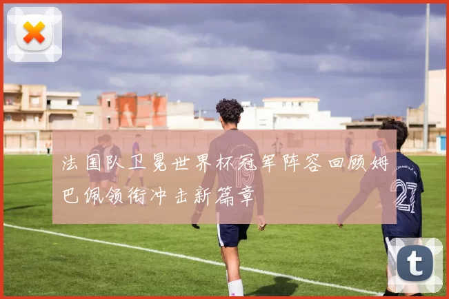 法国队卫冕世界杯冠军阵容回顾姆巴佩领衔冲击新篇章