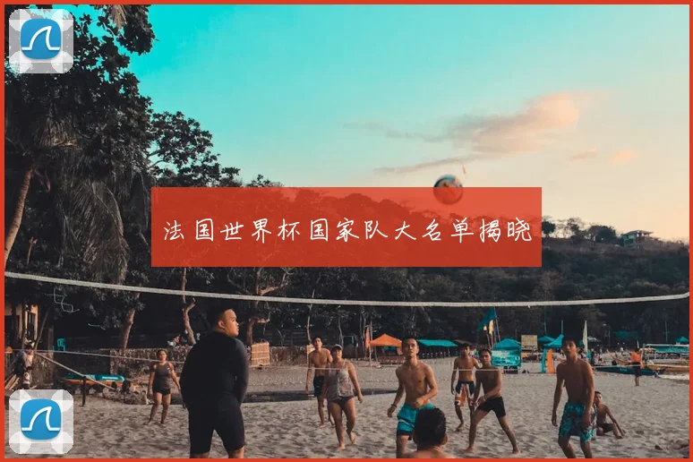 法国世界杯国家队大名单揭晓