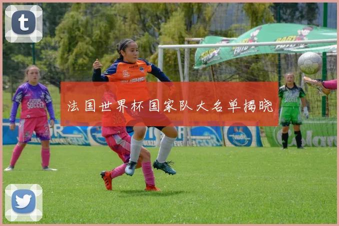 法国世界杯国家队大名单揭晓