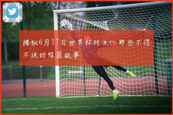 揭秘6月17日世界杯对决:那些不得不说的绿茵故事