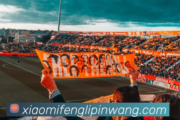 多媒体互动体验